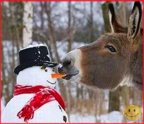 Зима с юмором