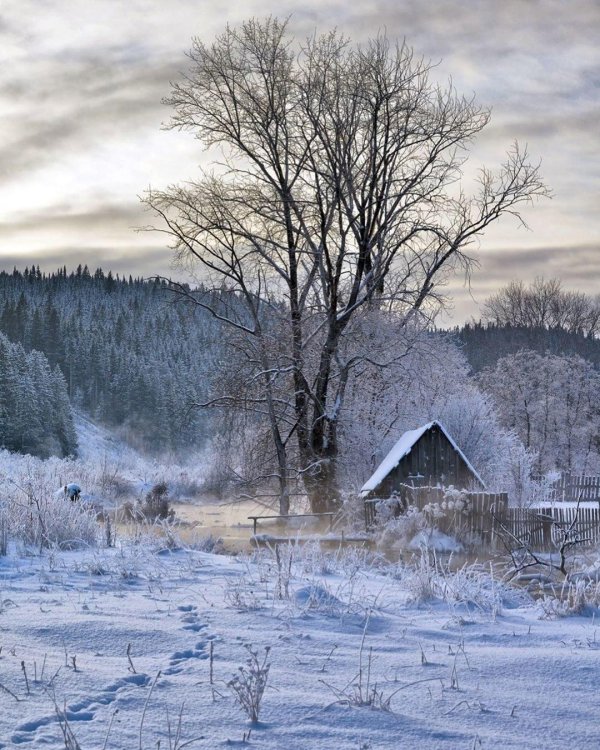 Зима деревня пейзажи