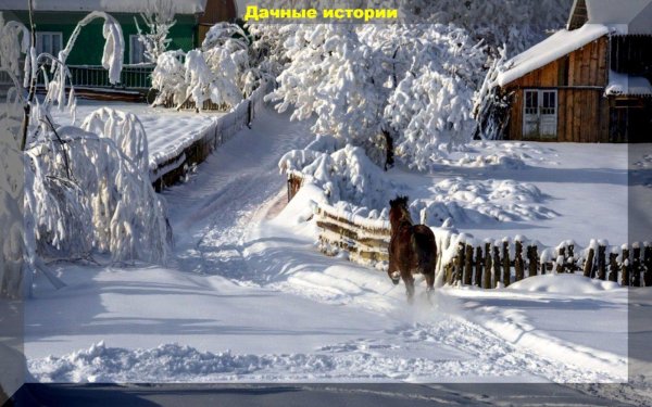 Зима деревня пейзажи