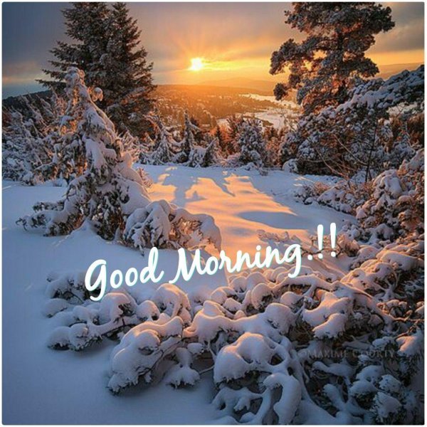 Зима вечер вертикальные