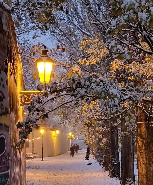 Зима вечер вертикальные