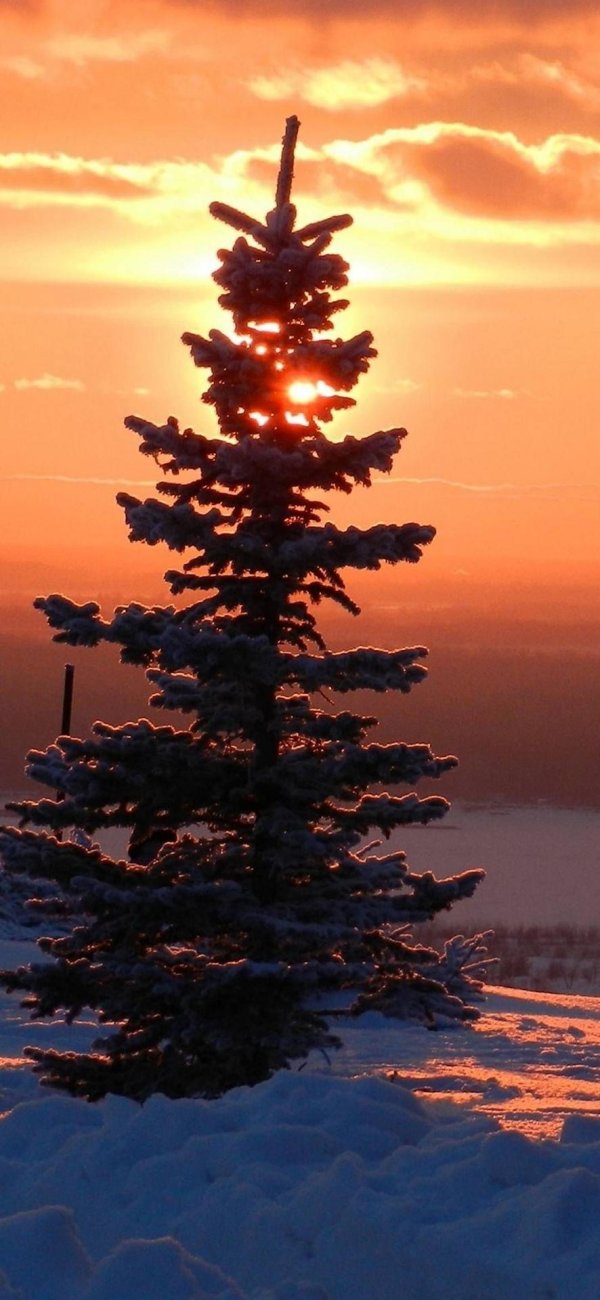 Зима вечер вертикальные