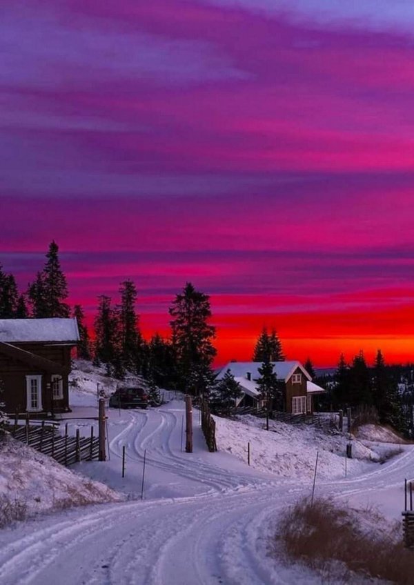 Зима вечер вертикальные