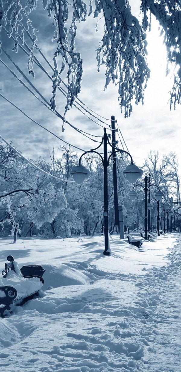 Зима вечер вертикальные