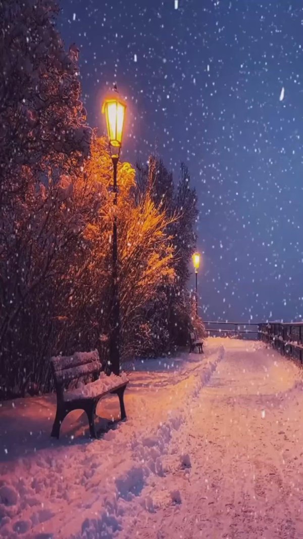 Зима вечер вертикальные