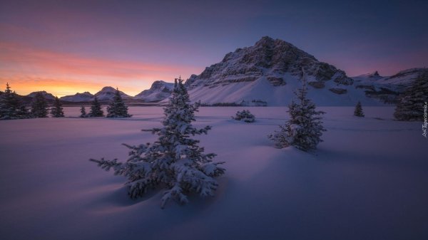 Зима вечер вертикальные