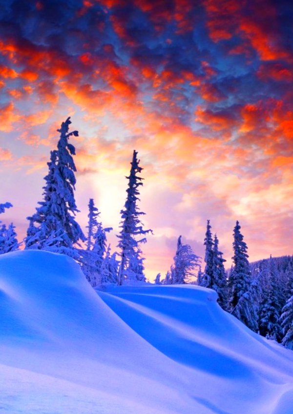 Зима вечер вертикальные