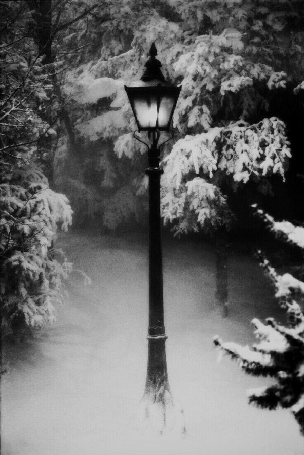 Зима вечер вертикальные