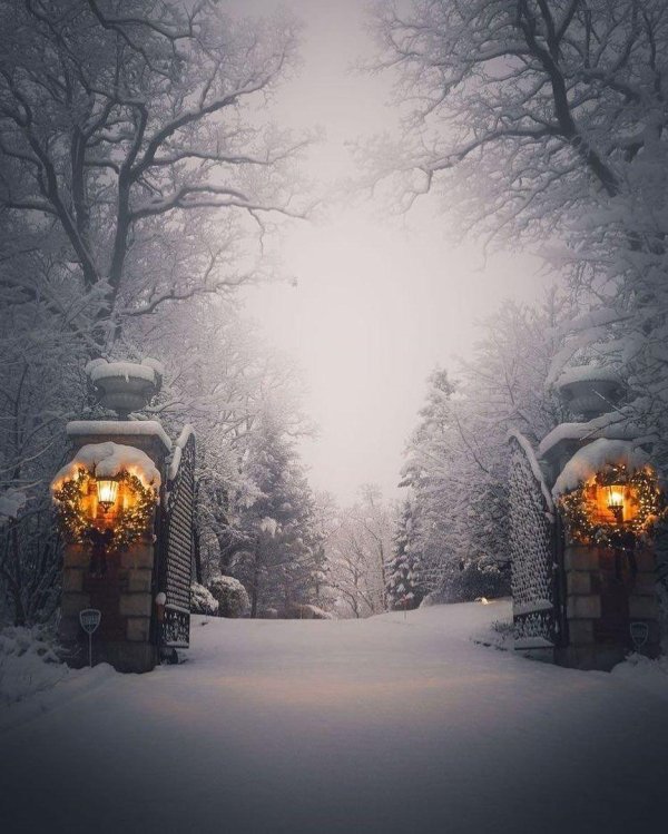 Зима вечер вертикальные