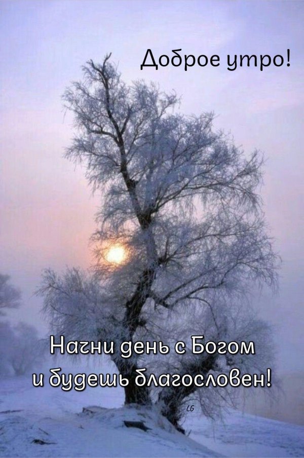 Зима вечер вертикальные