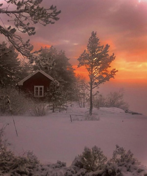 Зима вечер вертикальные