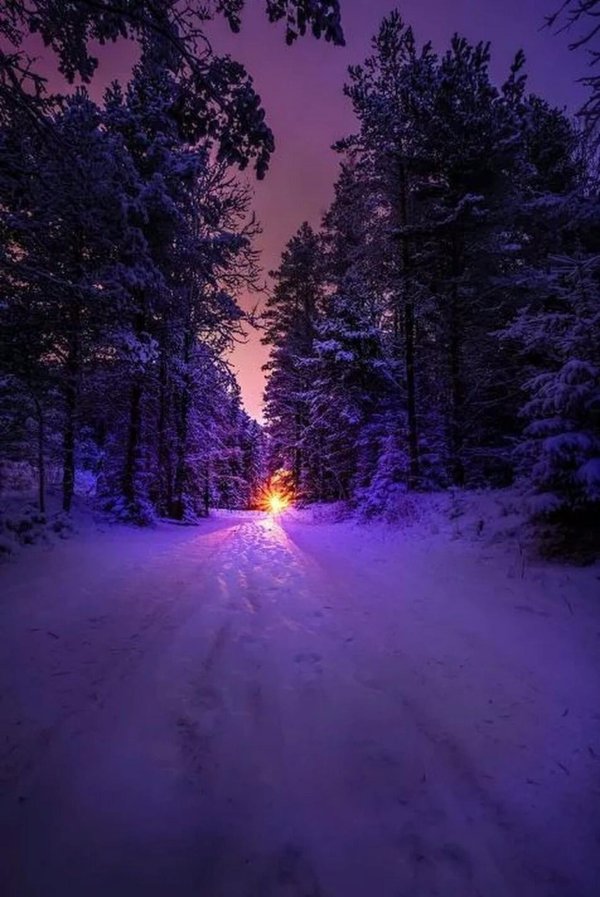 Зима вечер вертикальные