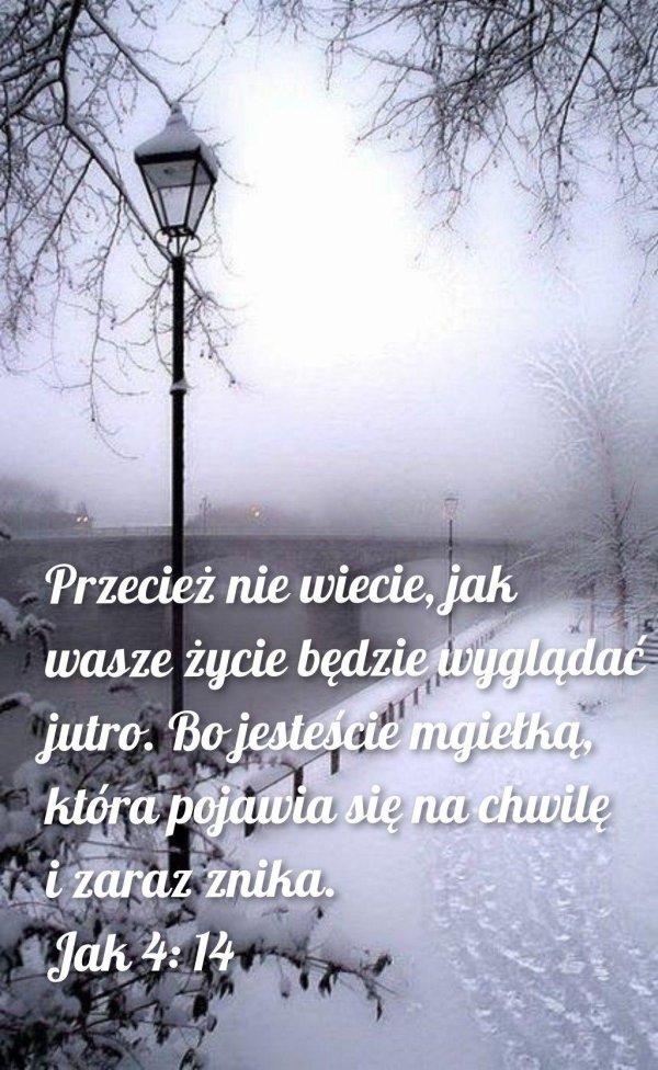 Зима вечер вертикальные