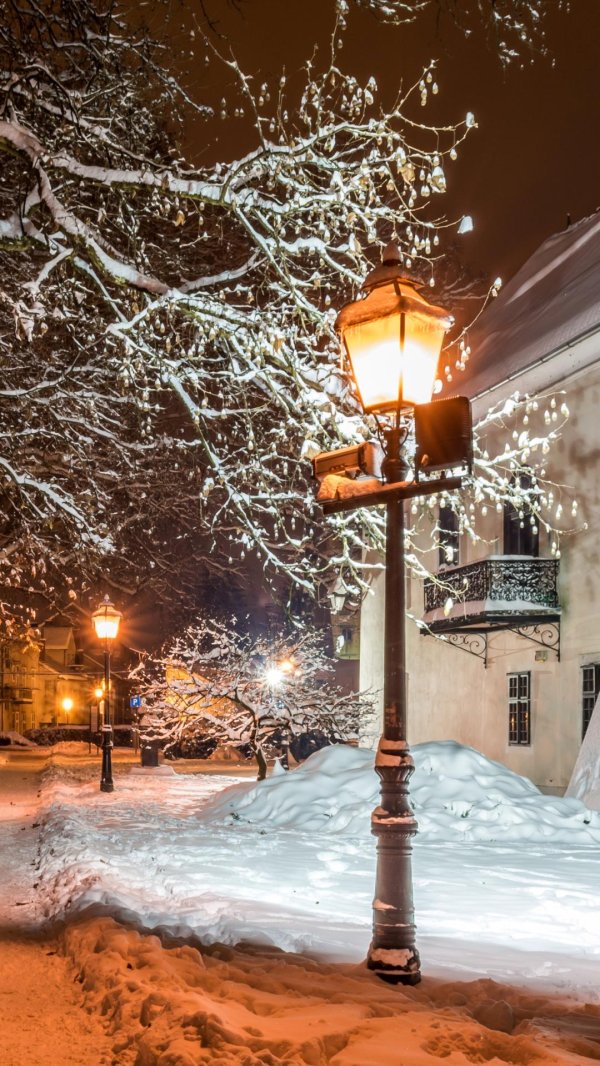 Зима вечер вертикальные