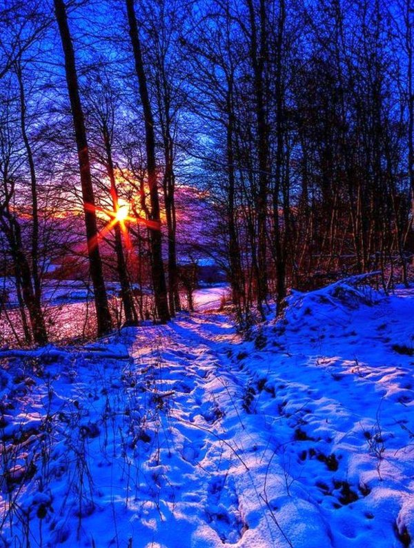 Зима вечер вертикальные