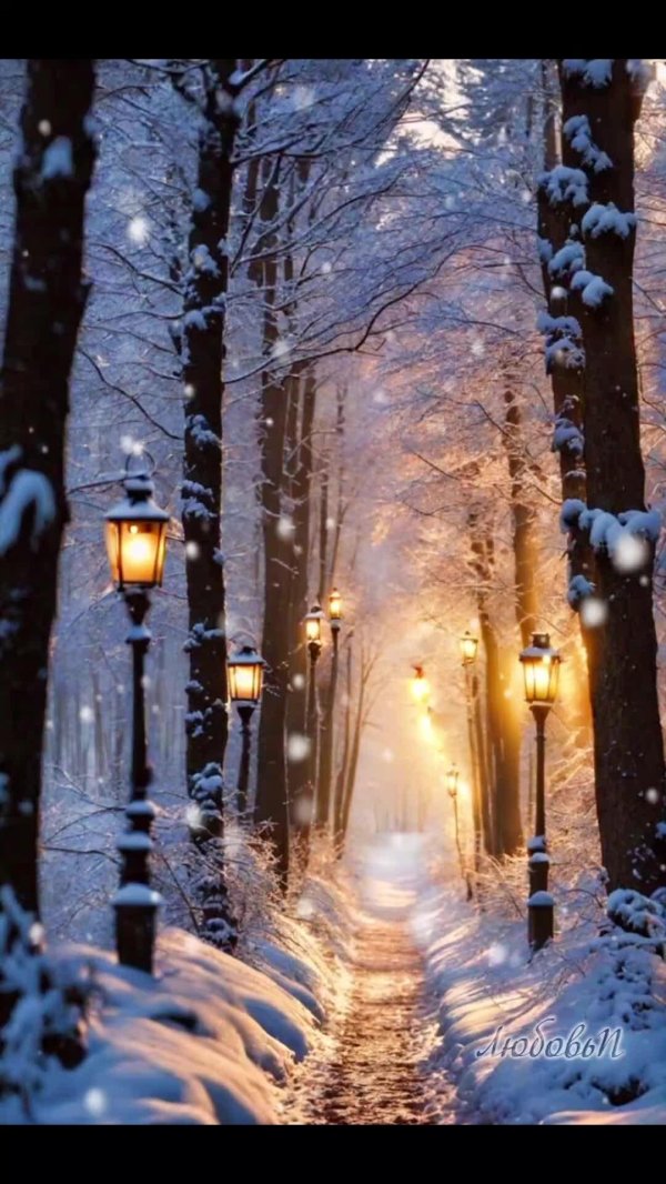 Зима вечер вертикальные