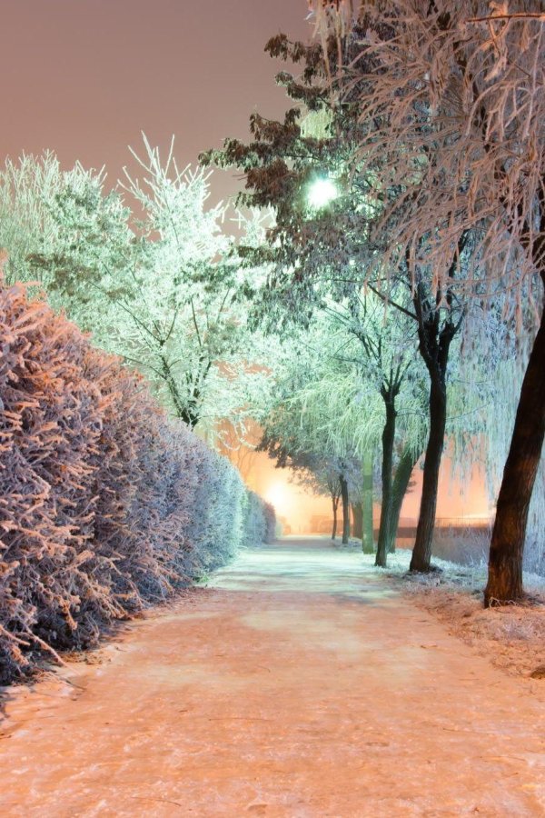 Зима вечер вертикальные