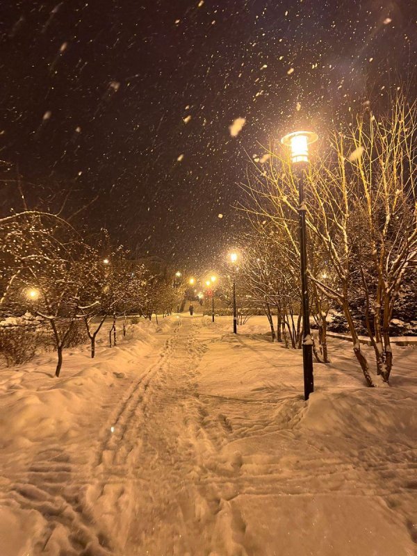 Зима вечер вертикальные