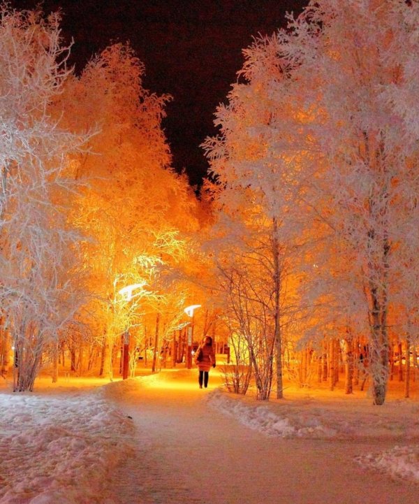 Зима вечер вертикальные