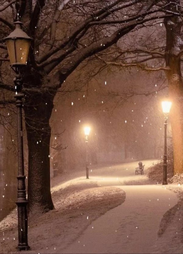 Зима вечер вертикальные