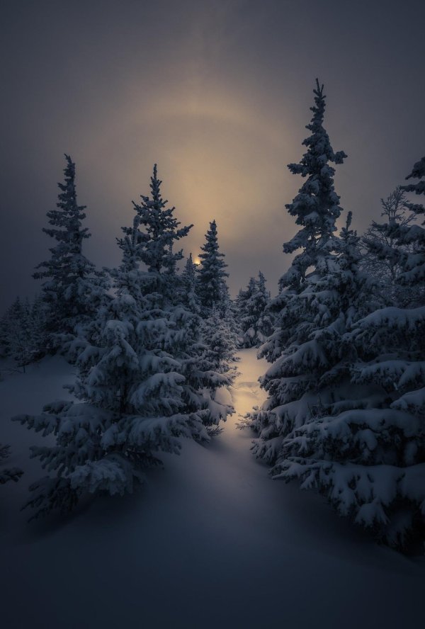 Зима вечер вертикальные