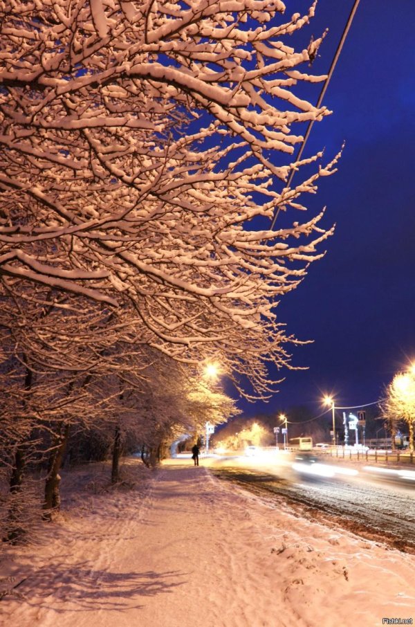 Утро зима город