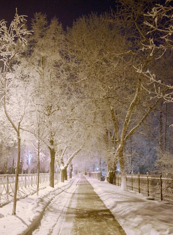 Утро зима город