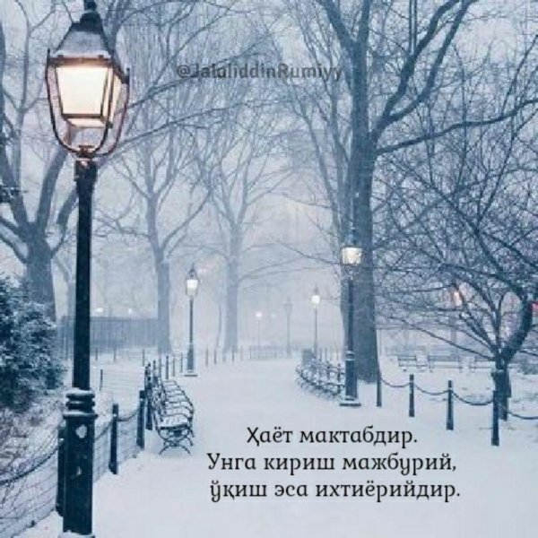 Утро зима город