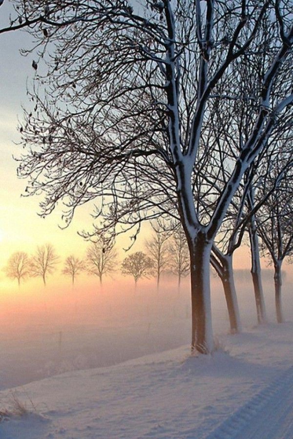 Утро зима город