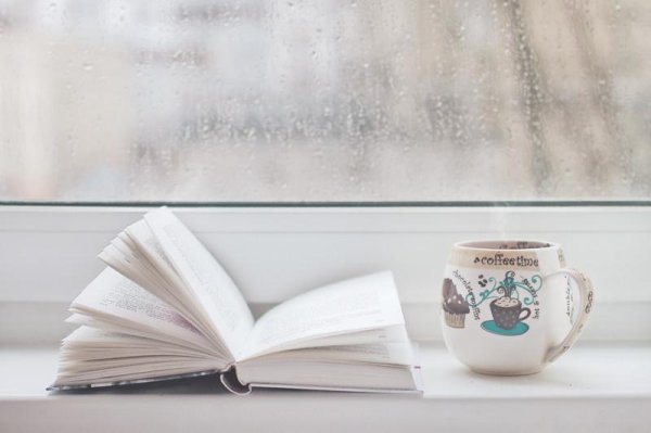 Книга и зима