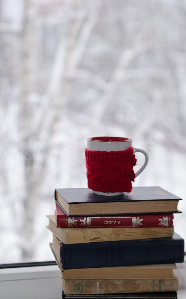Книга и зима