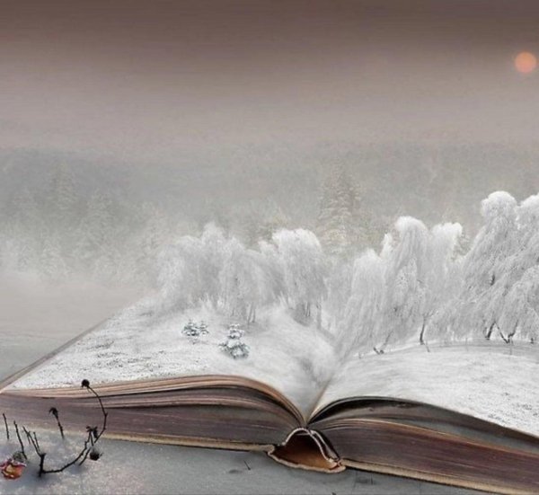 Книга и зима