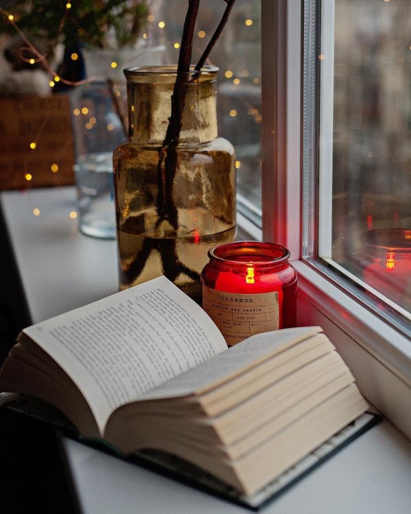 Книга и зима