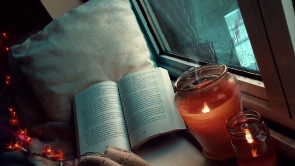 Книга и зима