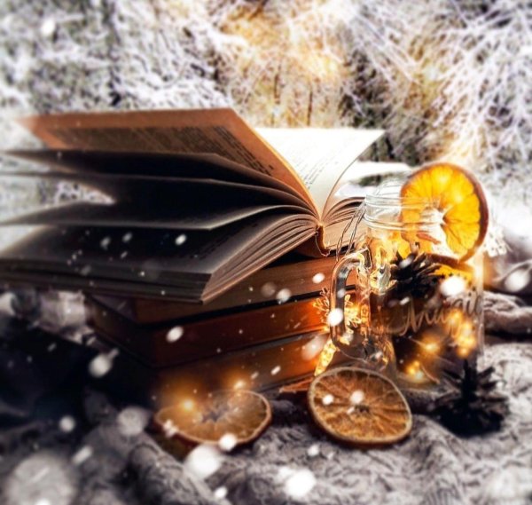 Книга и зима