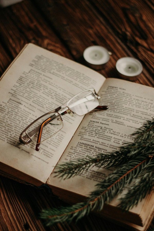 Книга и зима