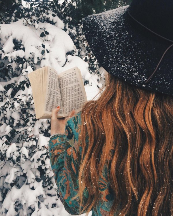 Книга и зима