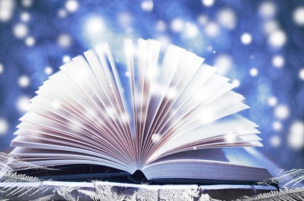 Книга и зима