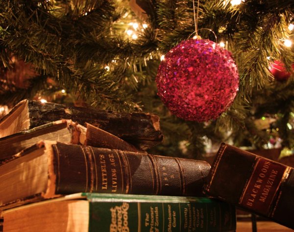 Книга и зима