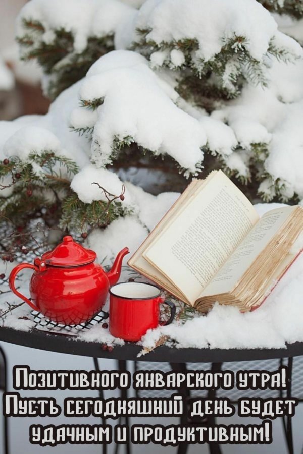 Книга и зима