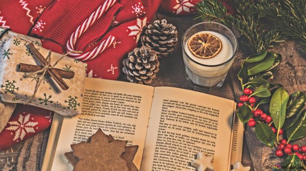 Книга и зима