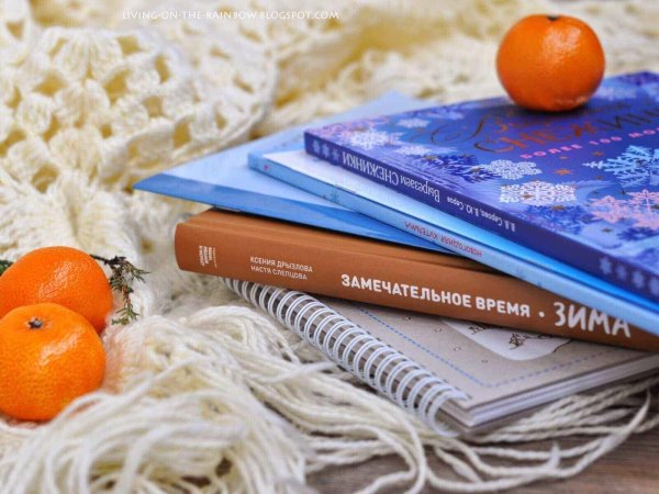 Книга и зима
