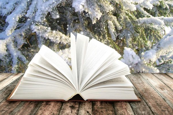 Книга и зима