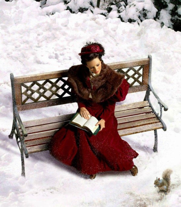 Книга и зима