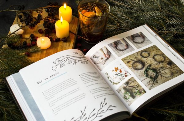 Книга и зима