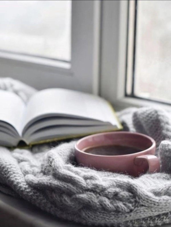 Книга и зима