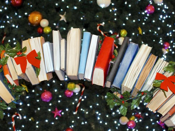 Книга и зима