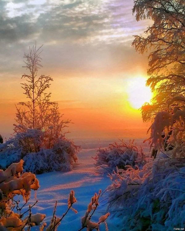 Утро рассвет зима