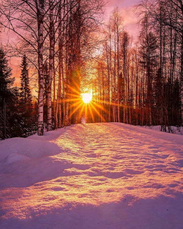 Утро рассвет зима