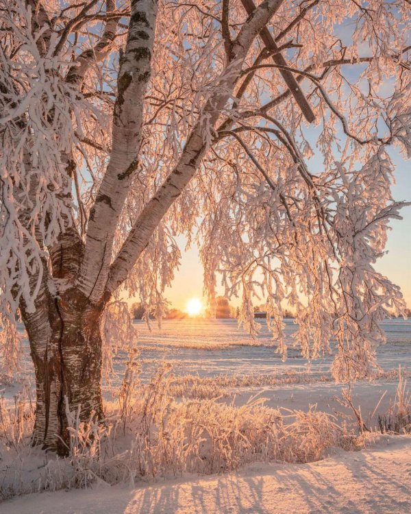 Утро рассвет зима
